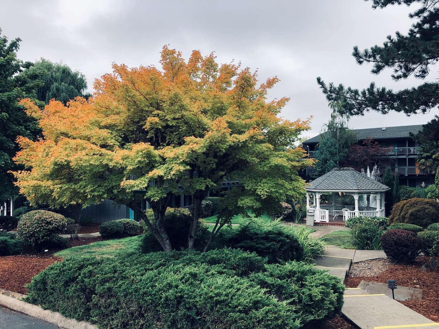 Best Western Portland West Beaverton Zewnętrze zdjęcie