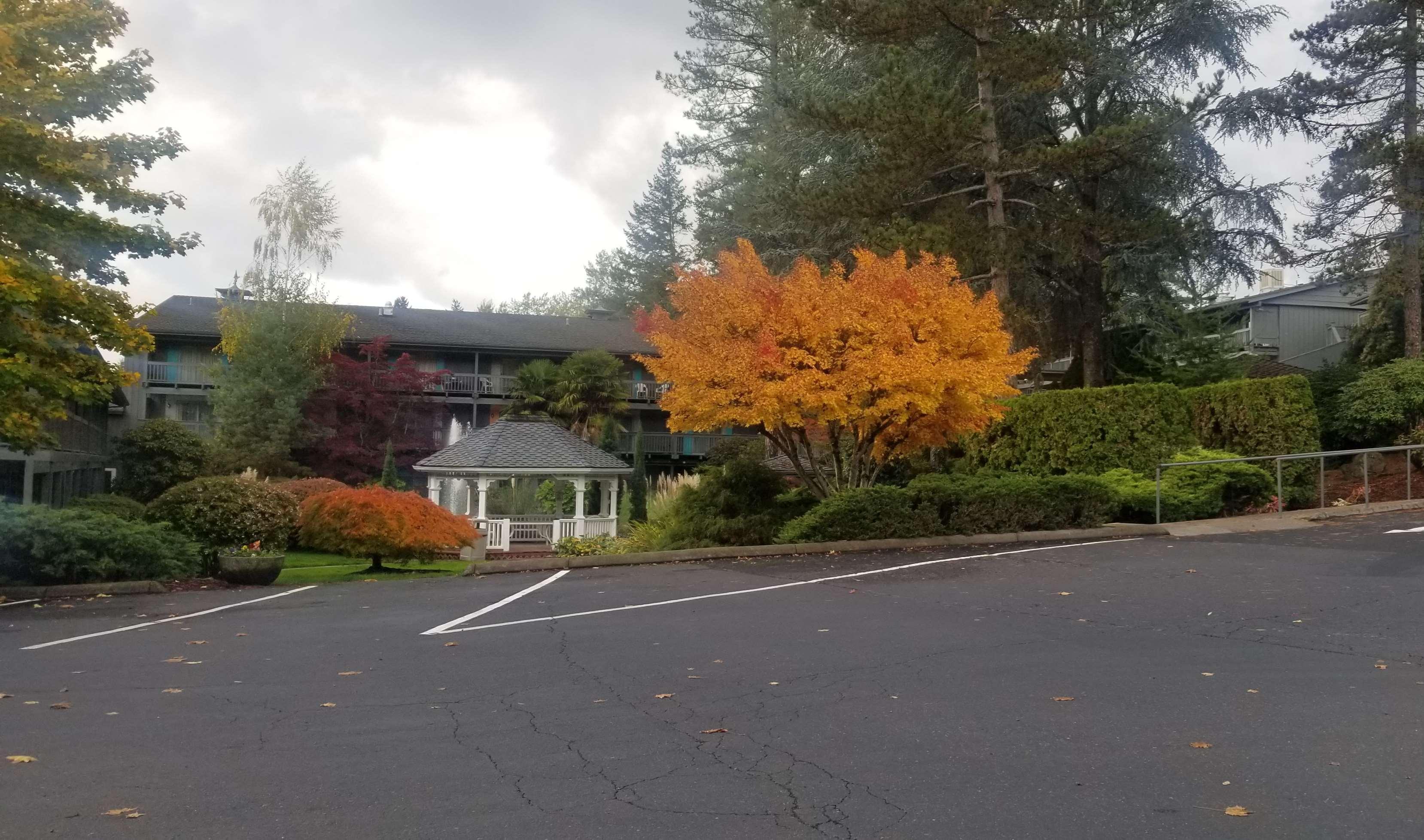 Best Western Portland West Beaverton Zewnętrze zdjęcie