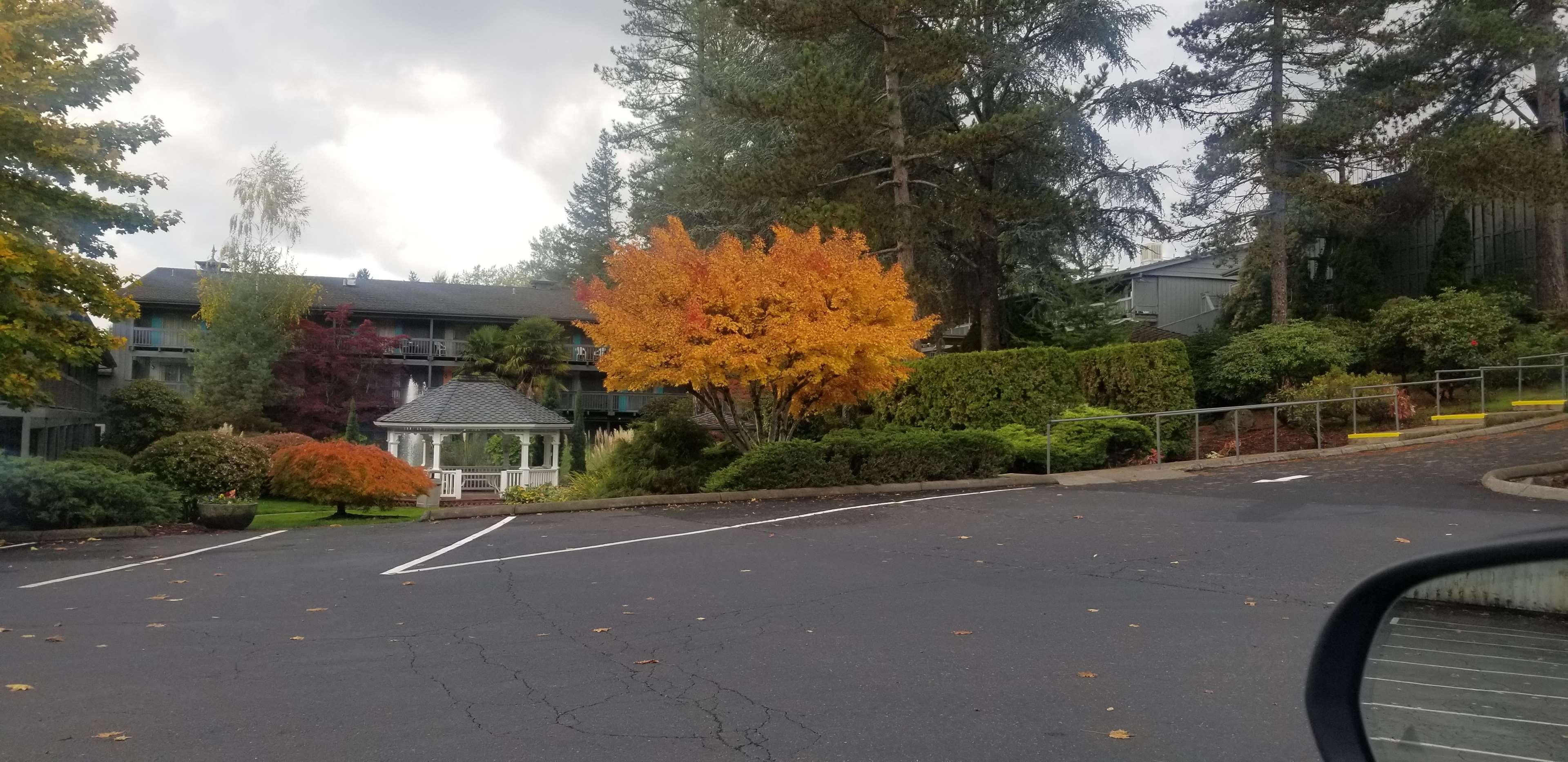 Best Western Portland West Beaverton Zewnętrze zdjęcie